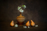 Pears Life Cycle Poster och Canvastavla