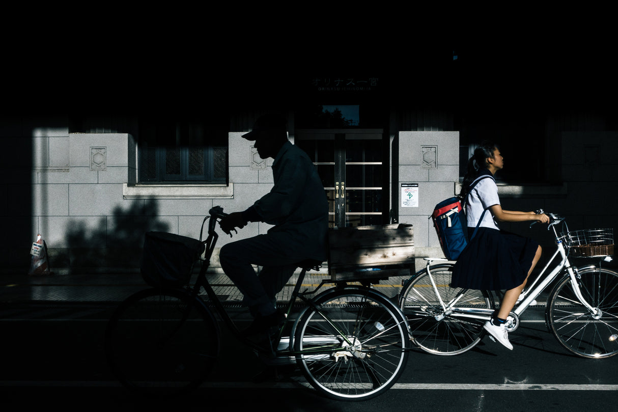 Passing by the shadow Poster och Canvastavla
