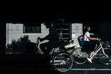 Passing by the shadow Poster och Canvastavla