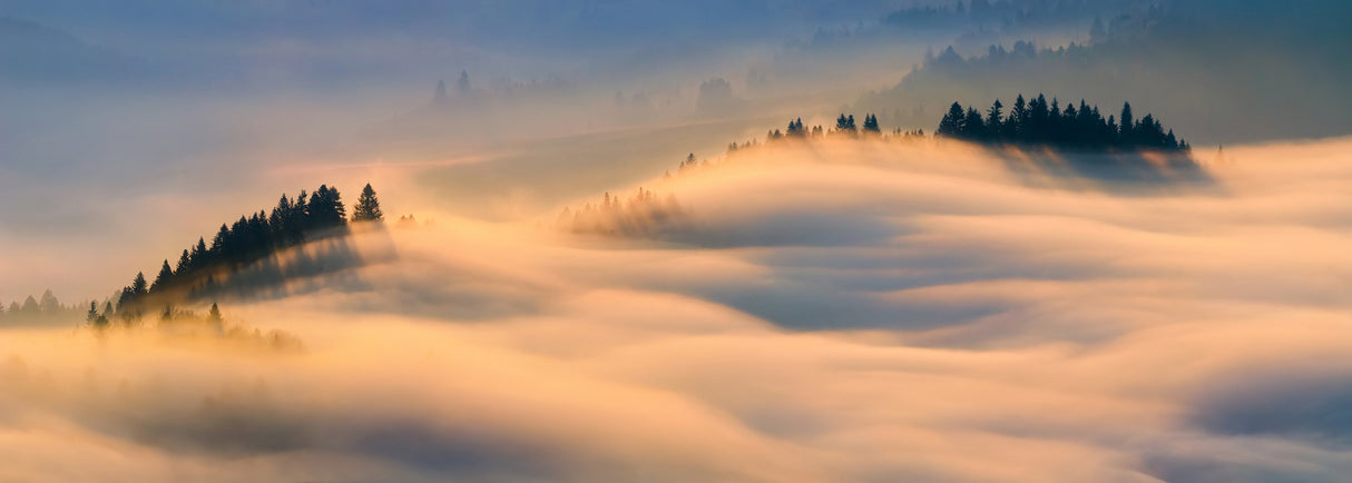 Misty morning Poster och Canvastavla