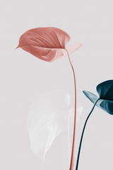Monstera Creative 25 Poster och Canvastavla