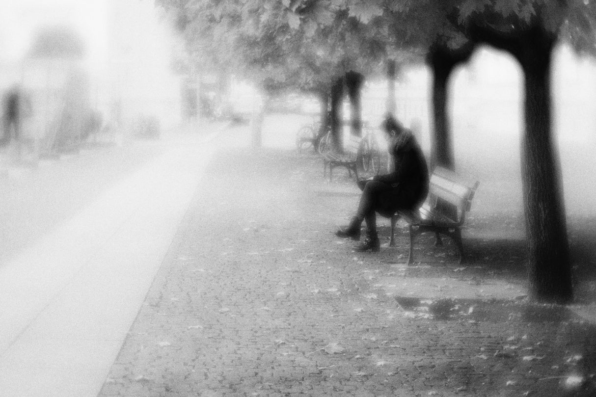 in the park Poster och Canvastavla
