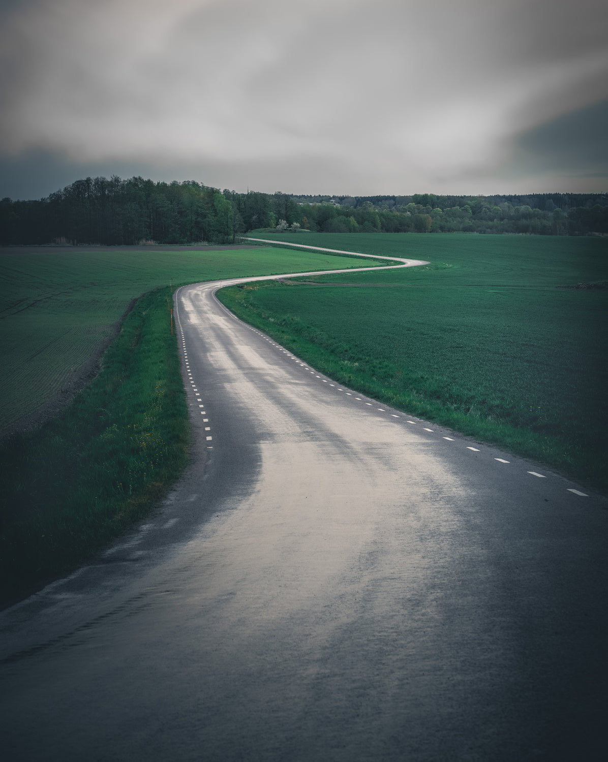 Road in the countryside Poster och Canvastavla