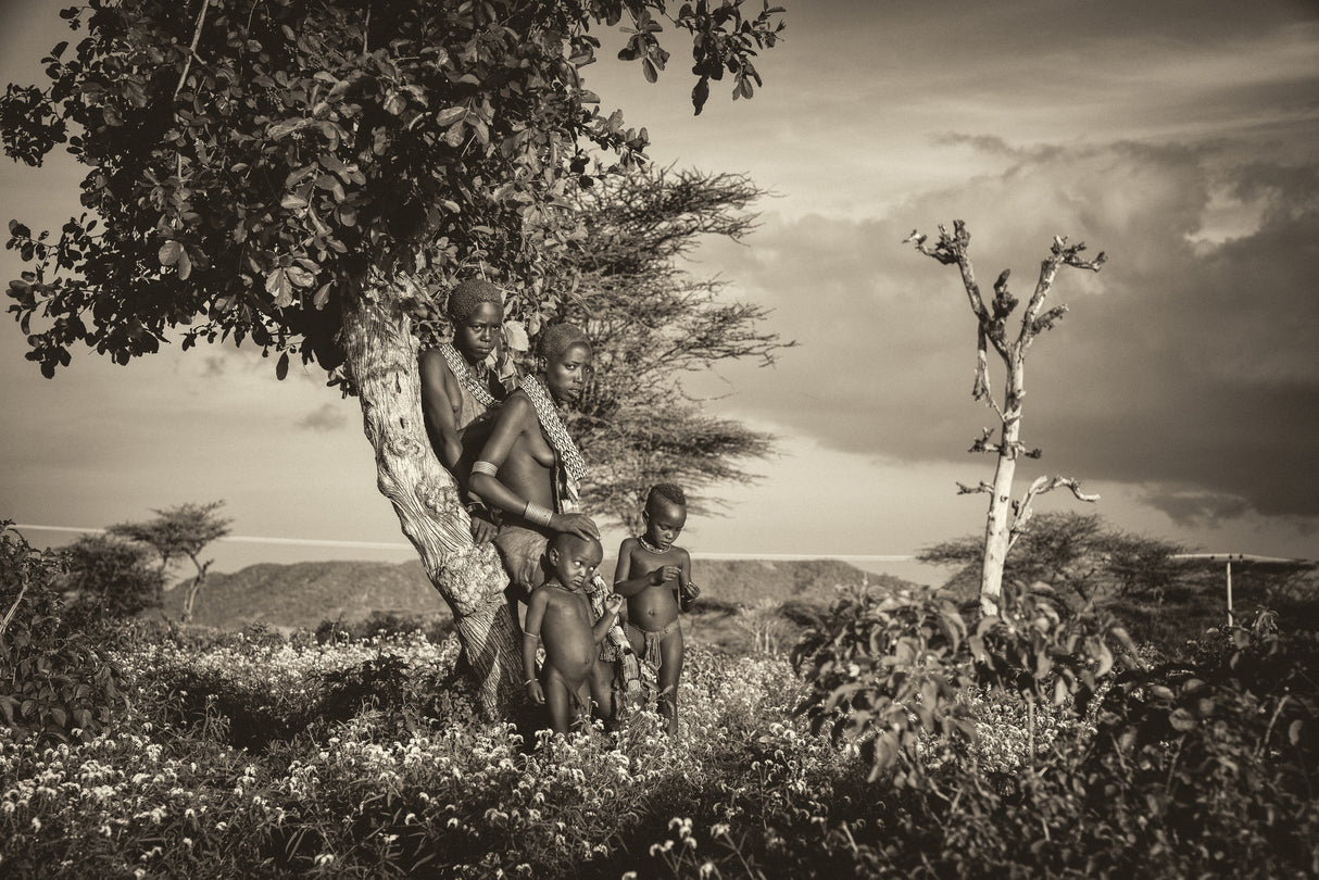Tribes Family Poster och Canvastavla