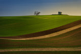 Moravian Tuscany Poster och Canvastavla