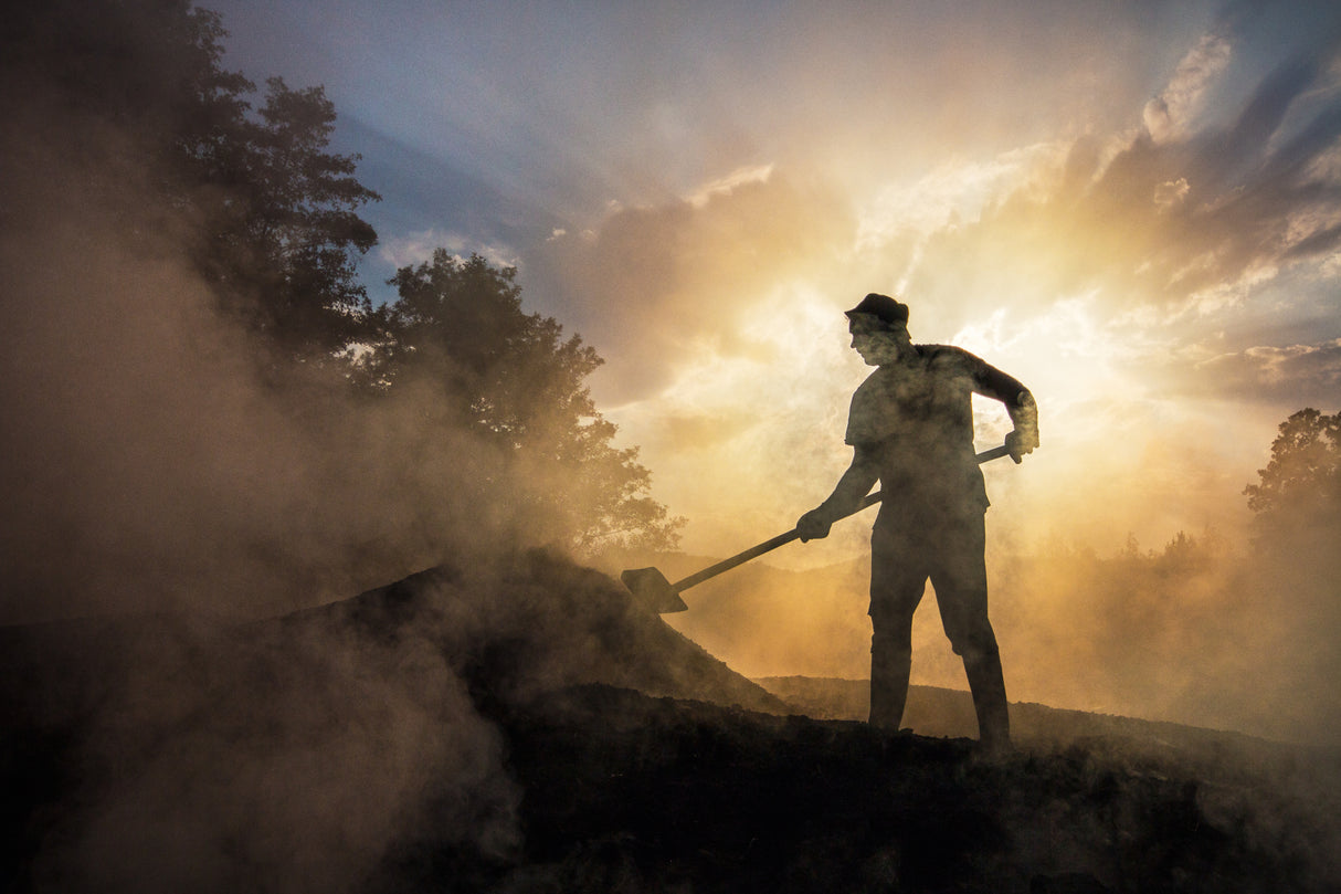 Charcoal-burner Poster och Canvastavla