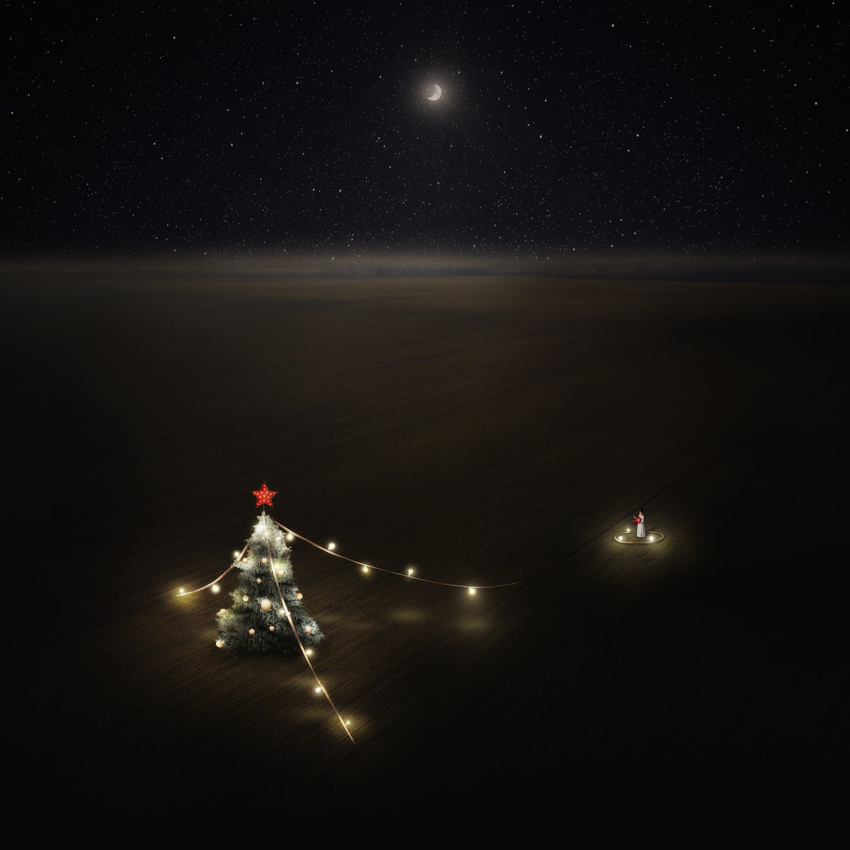 Xmas Heaven Poster och Canvastavla