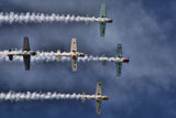 The Aerostars Poster och Canvastavla
