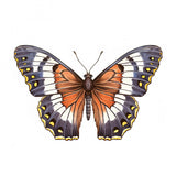 Butterfly 17 Poster och Canvastavla