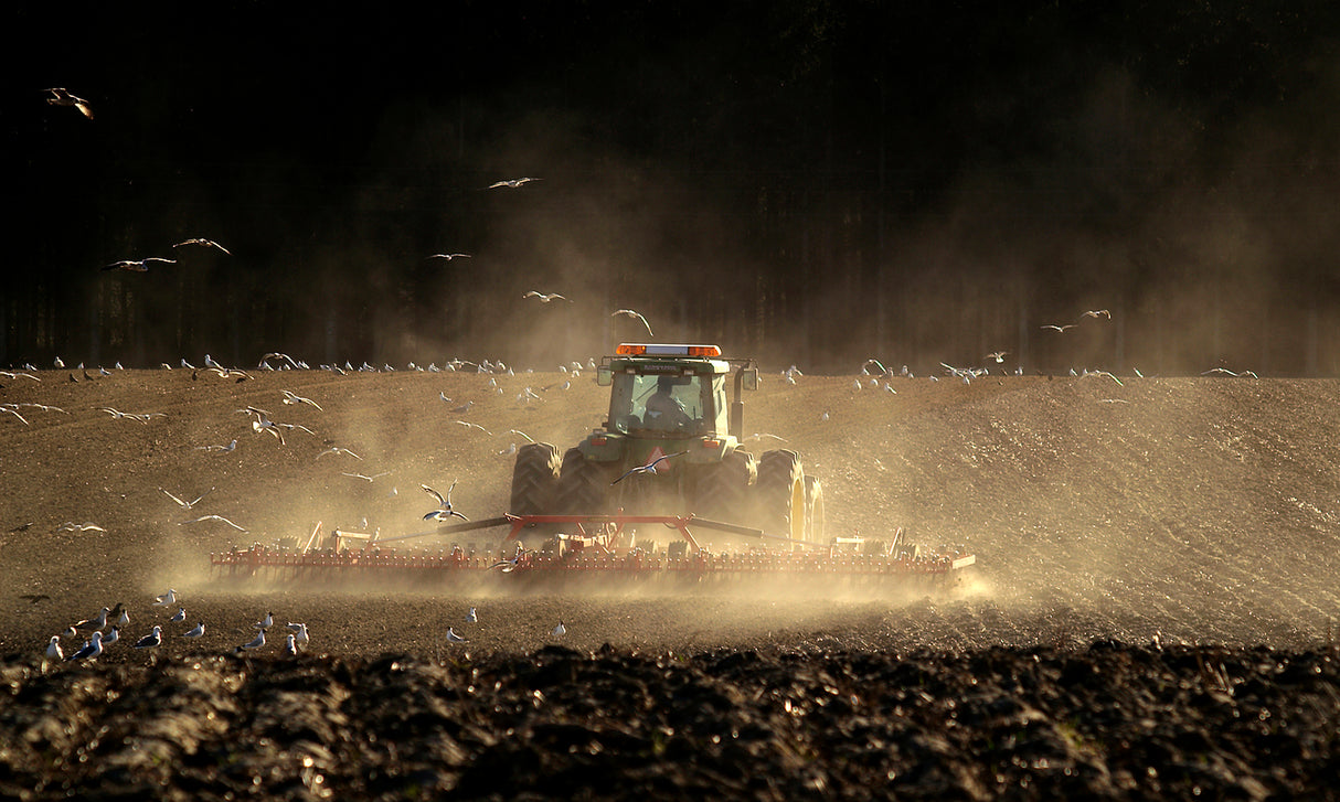 Work out on the field Poster och Canvastavla