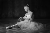 The little ballerina 2 Poster och Canvastavla