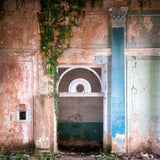 Overgrown Entrance Poster och Canvastavla