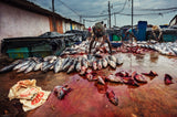 Fisherman's Life Poster och Canvastavla