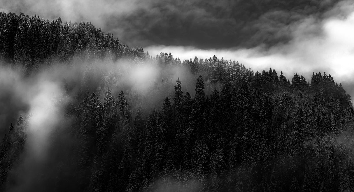 Rolling fog Poster och Canvastavla