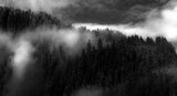 Rolling fog Poster och Canvastavla