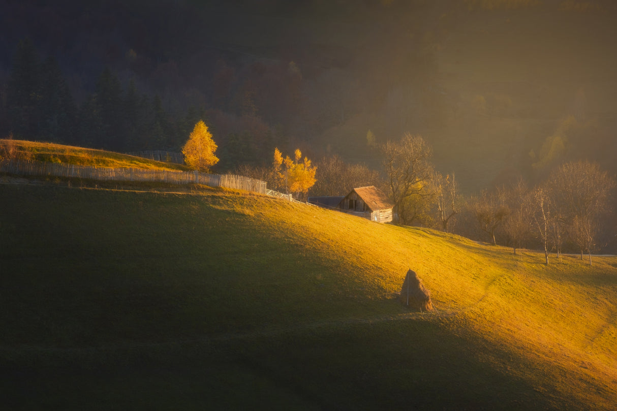 Morning Light Poster och Canvastavla