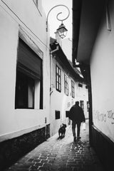Walking down the street Poster och Canvastavla