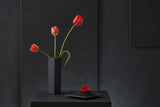 Tulipa Gesneriana N°2 Poster och Canvastavla
