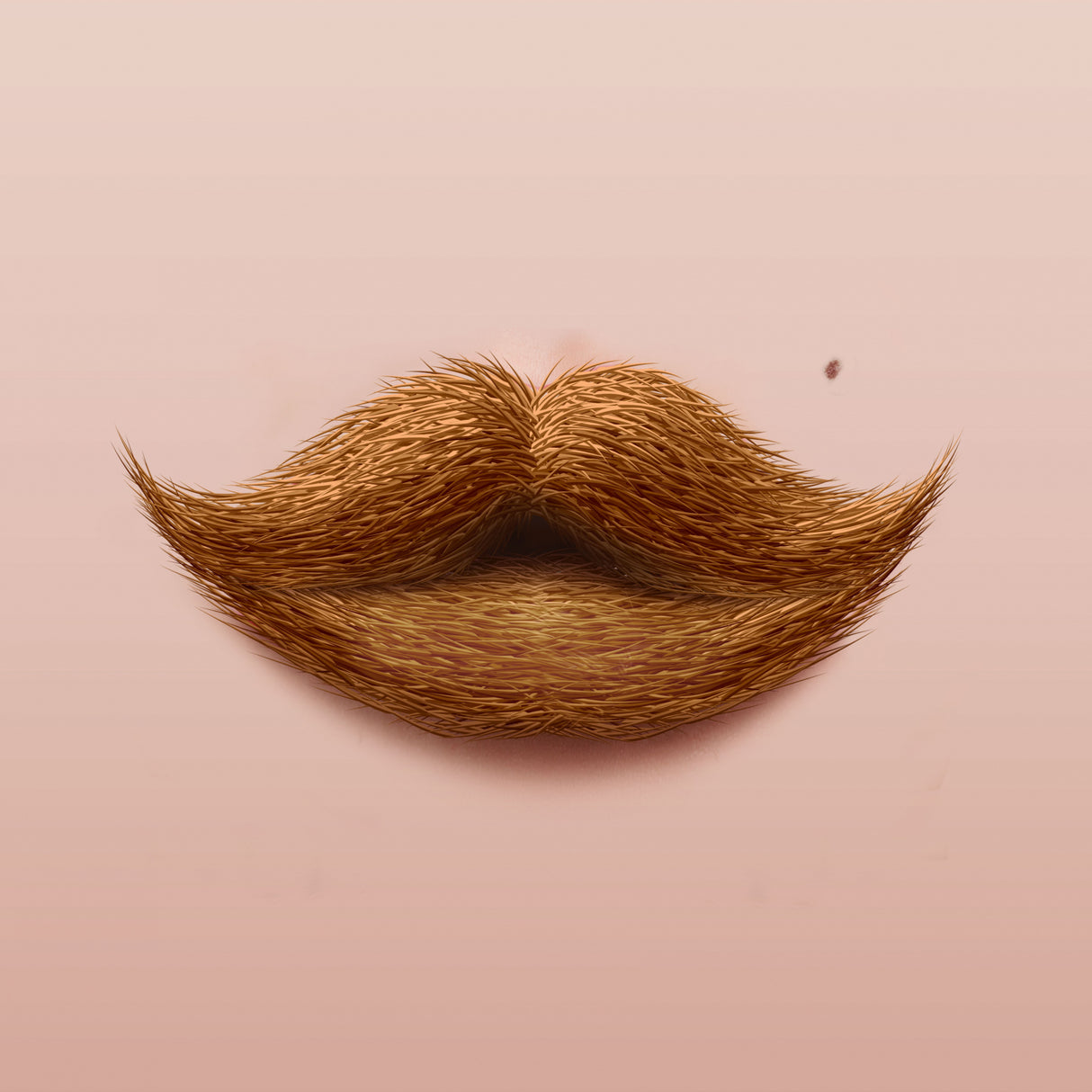 Moustache Kiss Poster och Canvastavla