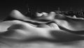 Sleeping beauties Poster och Canvastavla