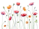 Papaver party Poster och Canvastavla
