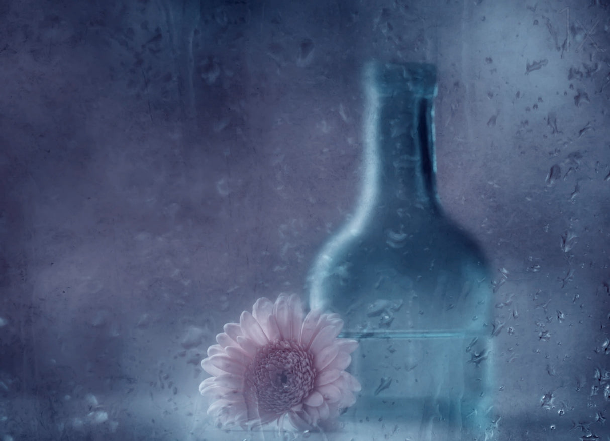 The blue bottle Poster och Canvastavla