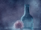 The blue bottle Poster och Canvastavla