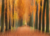 Autumn walk Poster och Canvastavla