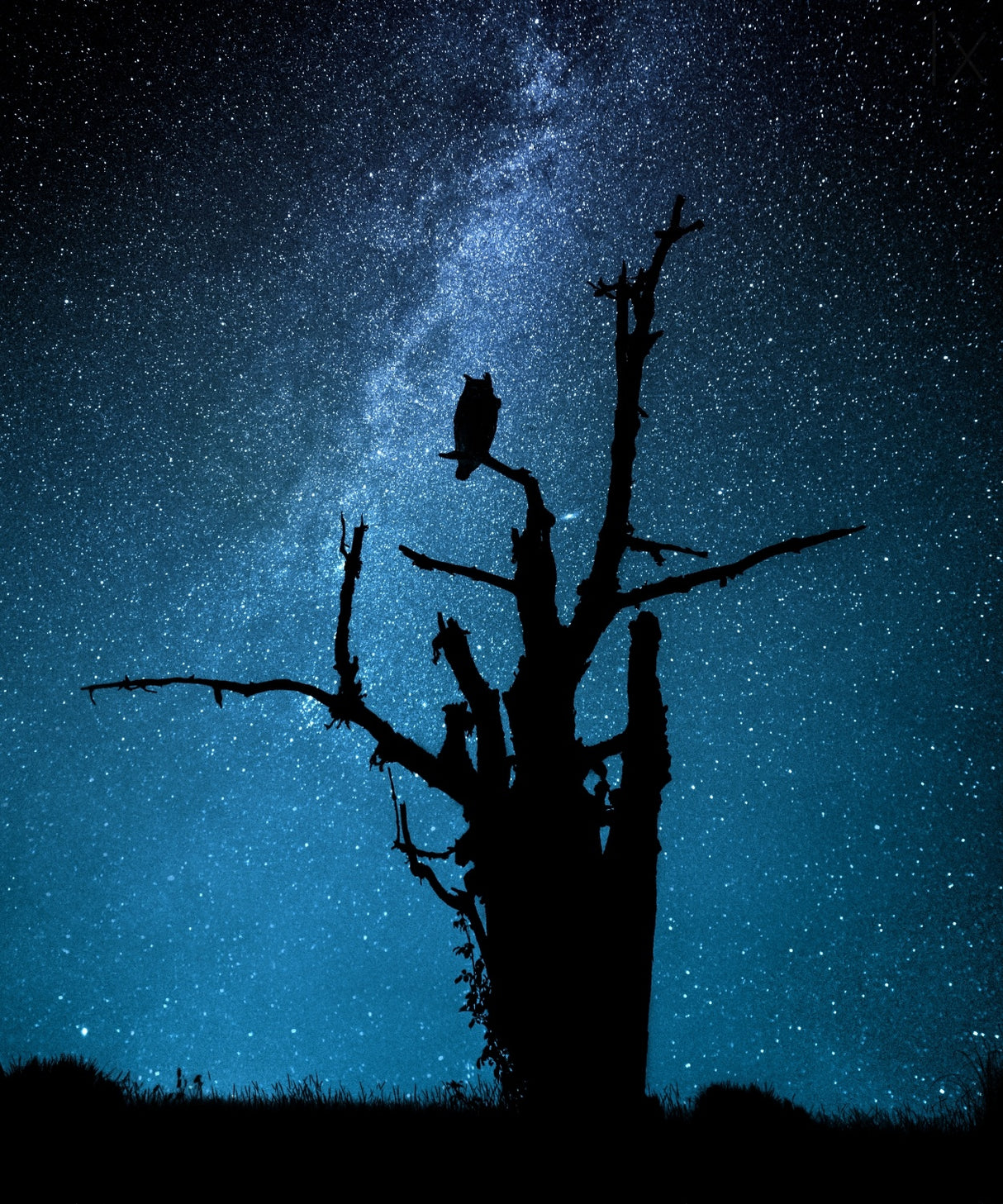 Alone in the dark Poster och Canvastavla