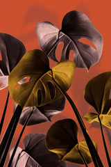 Monstera Orange 01 Poster och Canvastavla