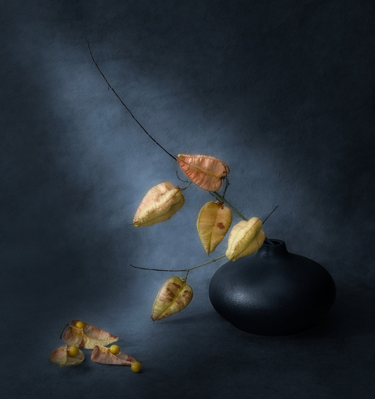 Seeds in Husks Poster och Canvastavla