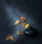 Seeds in Husks Poster och Canvastavla