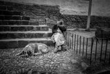 Portrait of a Woman and her Dog Poster och Canvastavla