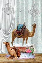 Camels &amp; Bubbles Poster och Canvastavla