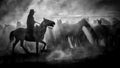 horse herder.. Poster och Canvastavla