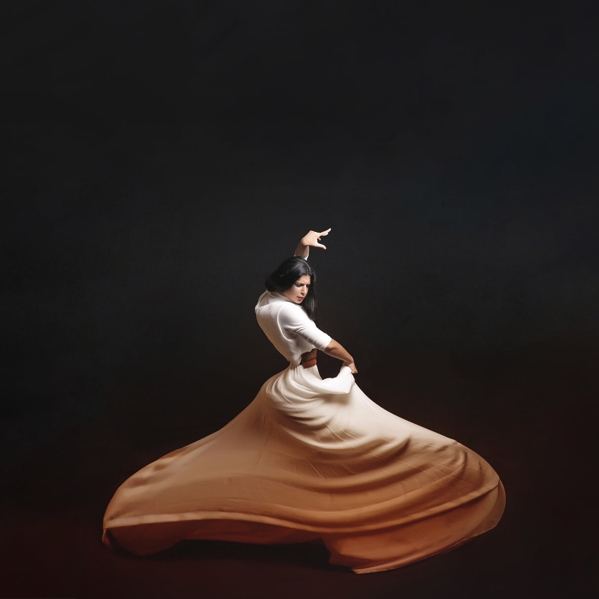 The girl &amp; dance Poster och Canvastavla