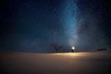 Starry sky in Inner Mongolia prairie Poster och Canvastavla