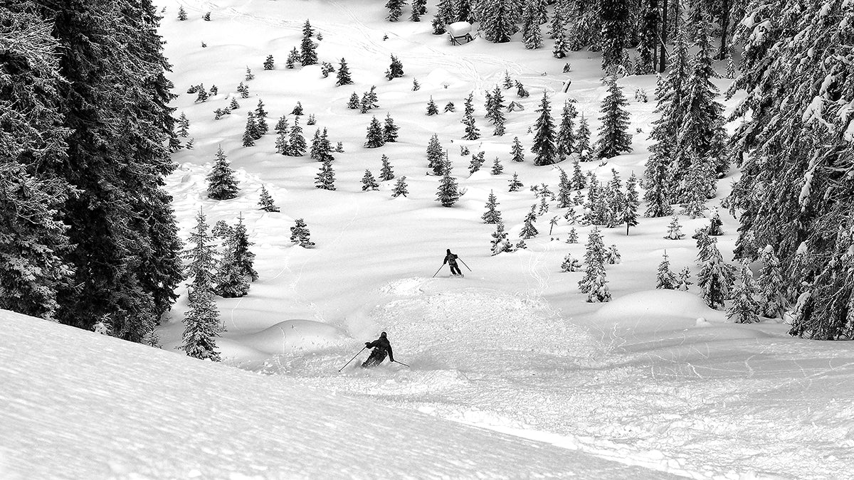 Freeriders Poster och Canvastavla