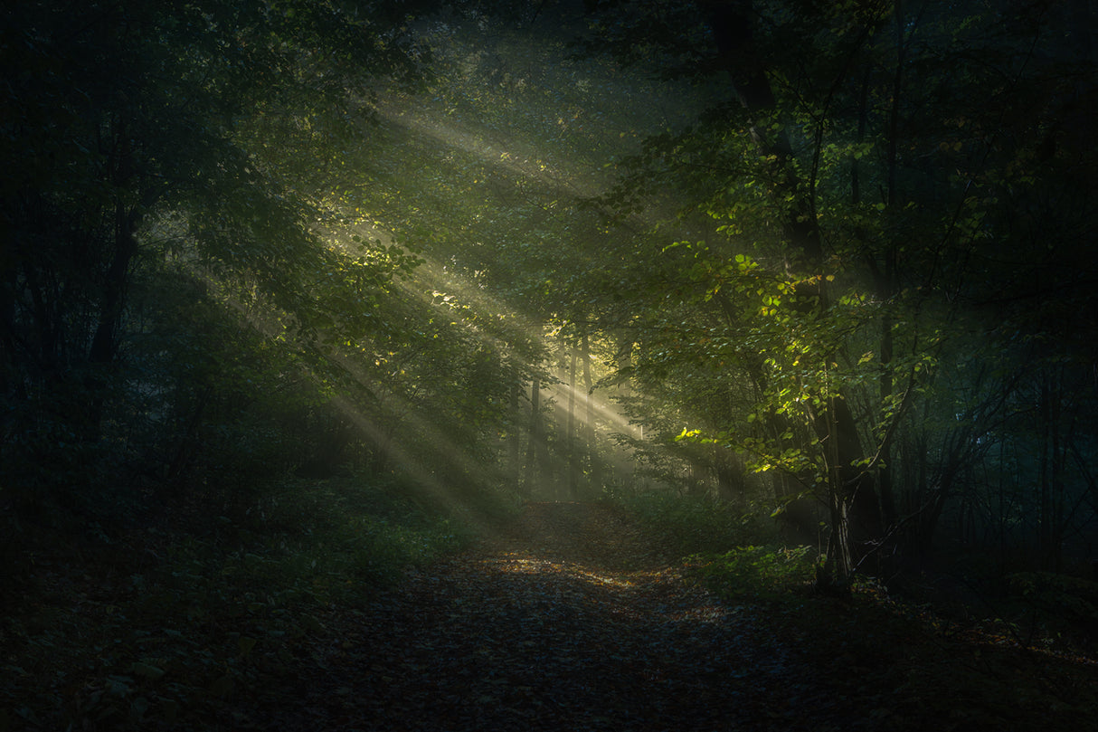 When light breaks through Poster och Canvastavla