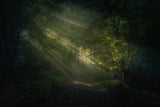 When light breaks through Poster och Canvastavla