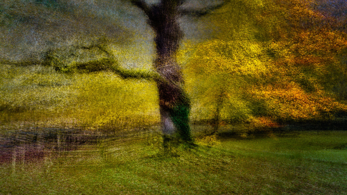 autumn scent Poster och Canvastavla