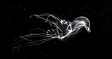 Deep Space Swim Poster och Canvastavla