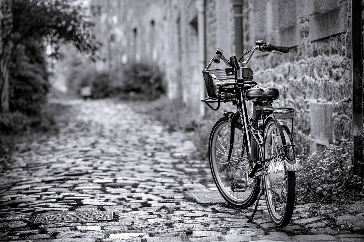 Le vélo Poster och Canvastavla
