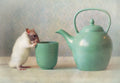 The Teapot Poster och Canvastavla