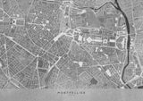 Gray vintage map of Montpellier downtown France Poster och Canvastavla