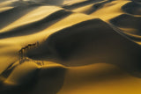 The ship of the desert Poster och Canvastavla