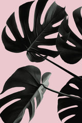 Monstera Pink No 01 Poster och Canvastavla