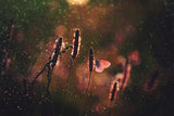 Symbol of the soul Poster och Canvastavla