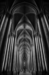 Notre-Dame Cathédral Poster och Canvastavla