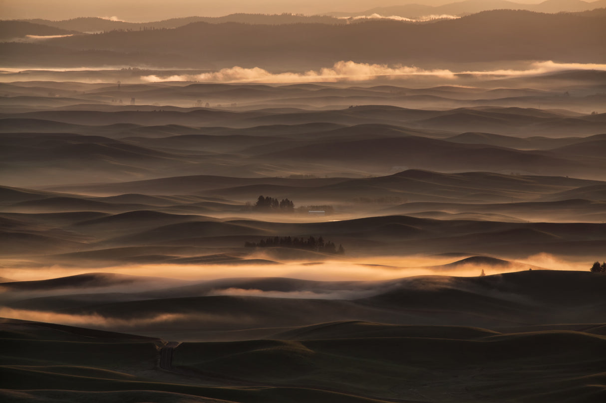 Misty sunrise at Palouse Poster och Canvastavla